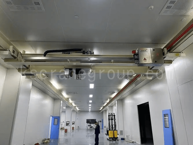 pharmaceutical clean room cranes